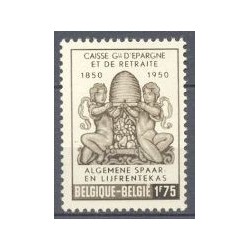 België 1950 n° 826** postfris