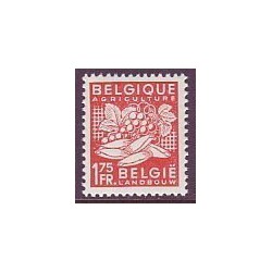 Belgium 1948 n° 763** MNH