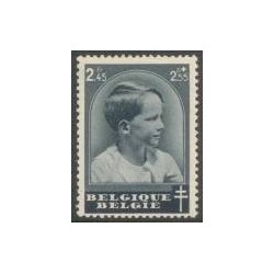 België 1937 n° 446 gestempeld