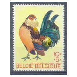 België 1969 n° 1513 gestempeld