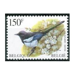 Belgique 1997 n° 2697 oblitéré
