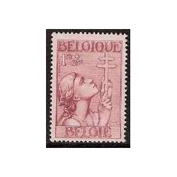België 1933 n° 381** postfris