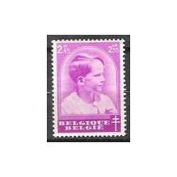 Belgium 1936 n° 445** MNH