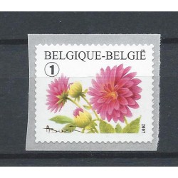 Belgium 2007 n° 3684 used