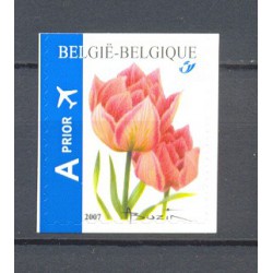 Belgium 2007 n° 3723 used