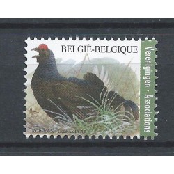 Belgie 2013 n° 4305 gestempeld